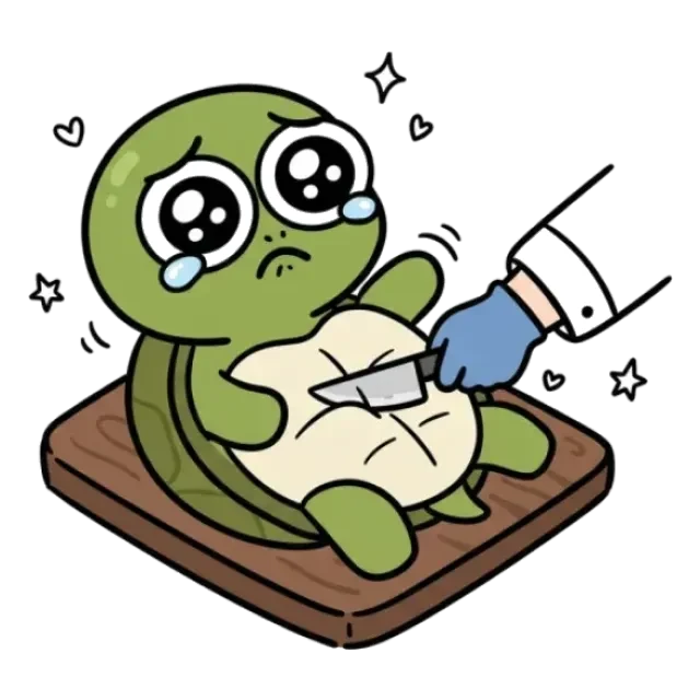 すっぽんのステージ2のすがた