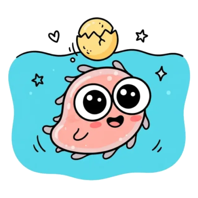 なまこのステージ5のすがた