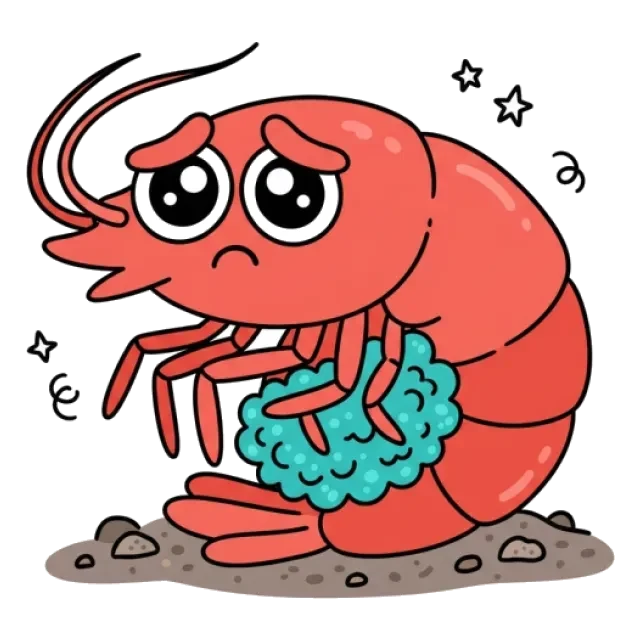 甘エビのステージ5のすがた