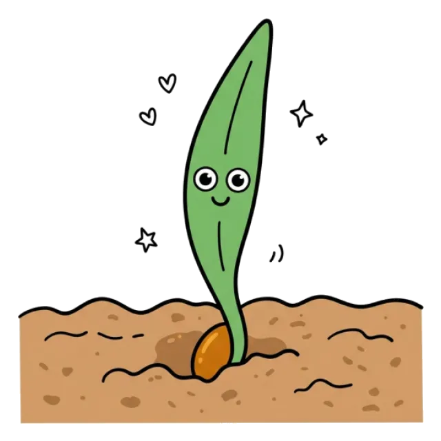 デュラムセモリナのステージ5のすがた