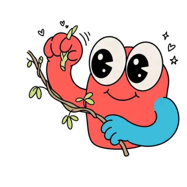 あけびの芽のステージ3のすがた