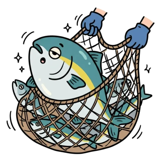 ブリのステージ3のすがた