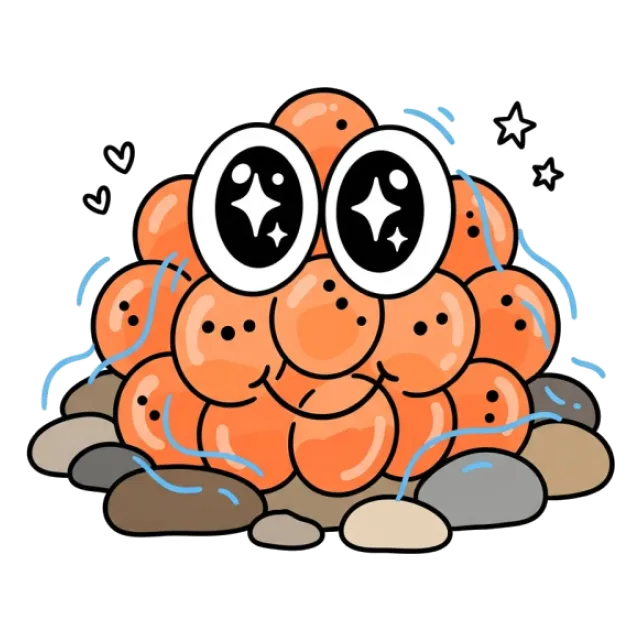 サケのステージ5のすがた