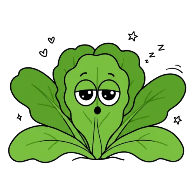 高菜のステージ4のすがた