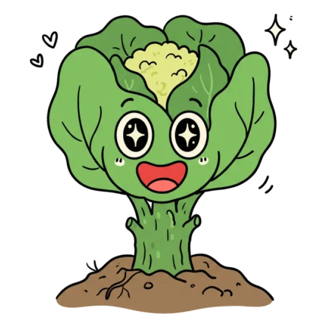 カリフラワーのステージ4のすがた