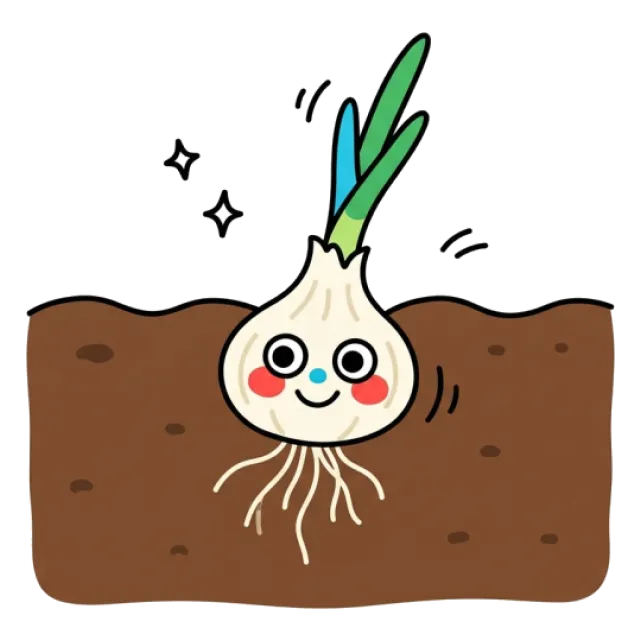 島らっきょうのステージ5のすがた
