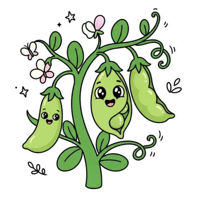 えんどう豆のステージ4のすがた