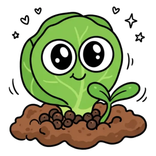 芽キャベツのステージ5のすがた