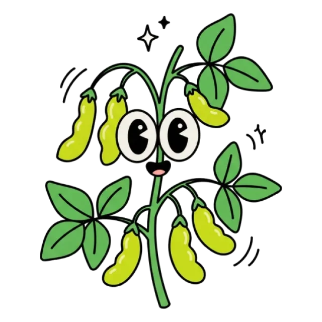 小豆のステージ4のすがた