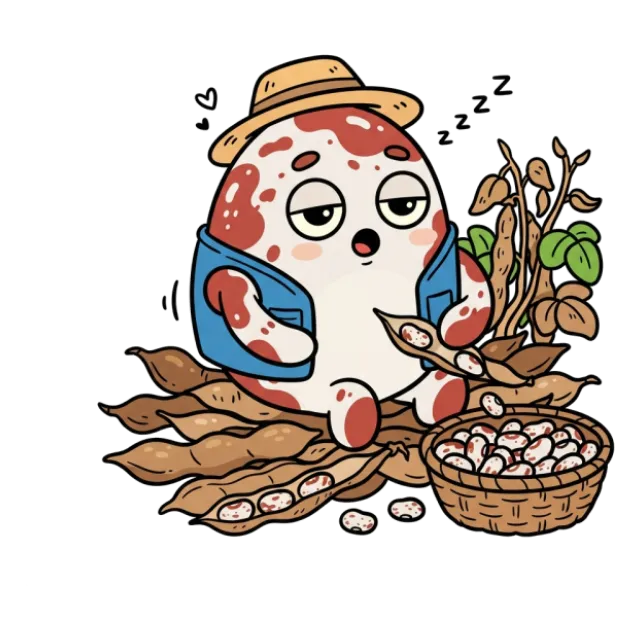 うずら豆のステージ3のすがた
