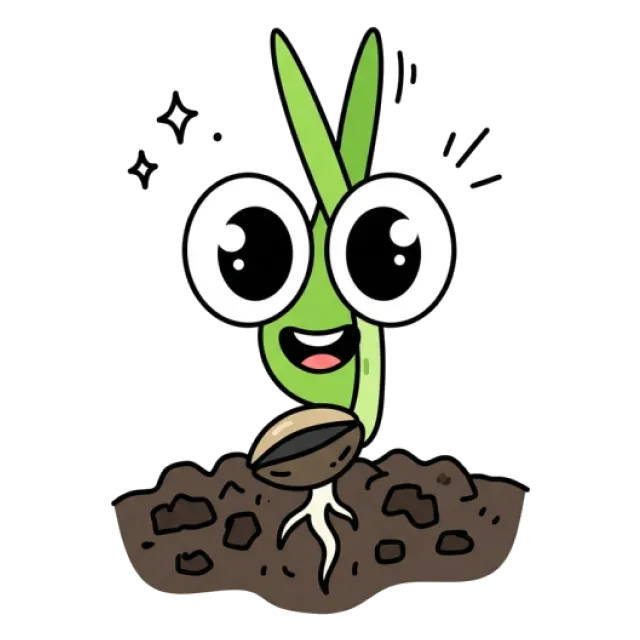 もち麦のステージ5のすがた