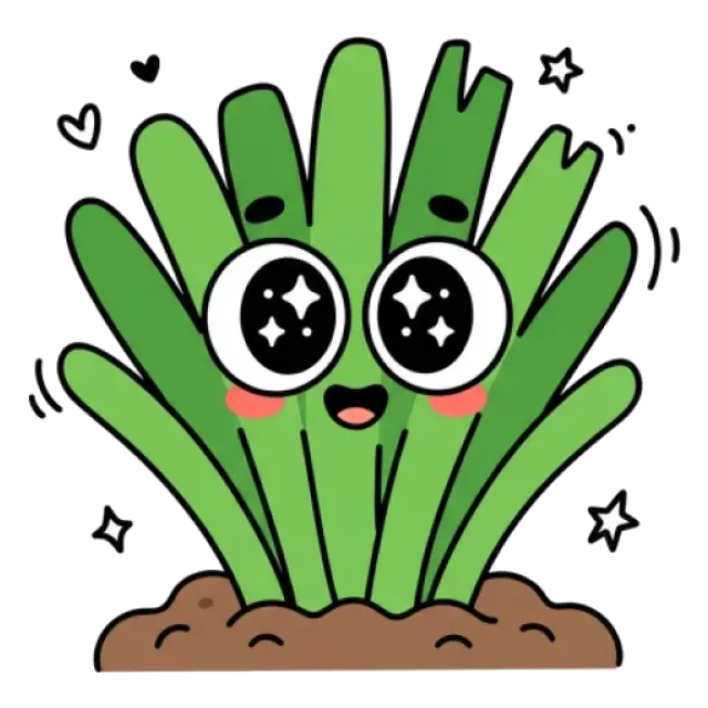 ニラのステージ4のすがた