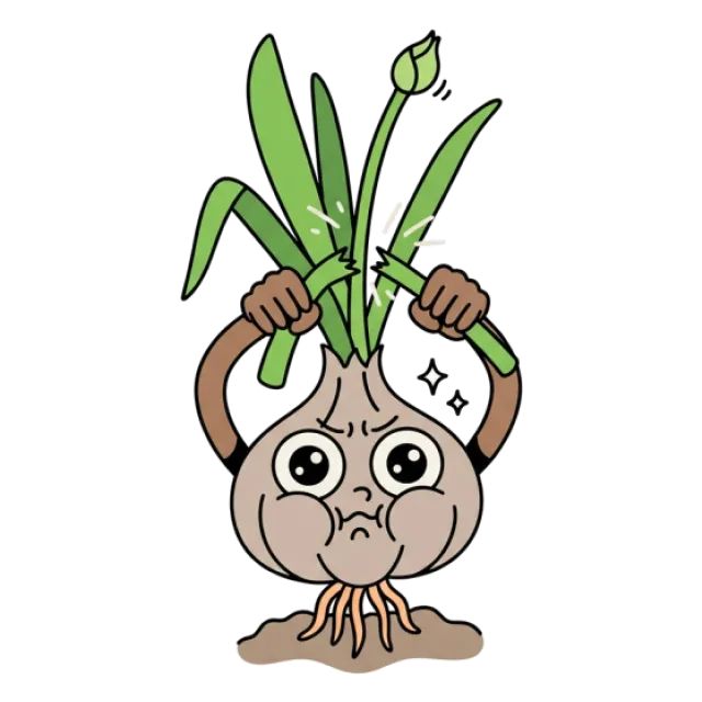 にんにくの芽のステージ3のすがた