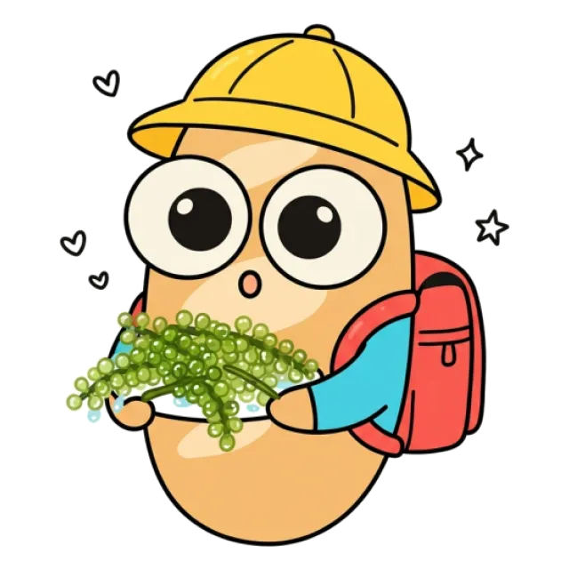 ステージ2