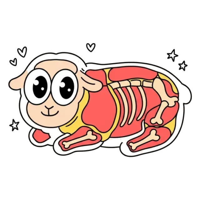 ラム肉のステージ4のすがた