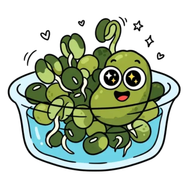 もやしのステージ4のすがた