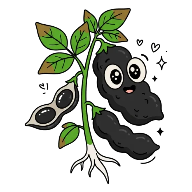 黒豆のステージ4のすがた