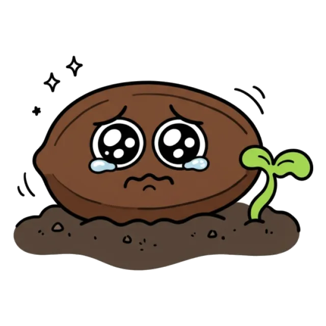ヘチマのステージ5のすがた