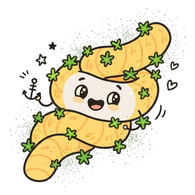 乾燥わかめのステージ5のすがた