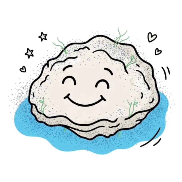 焼きのりのステージ5のすがた
