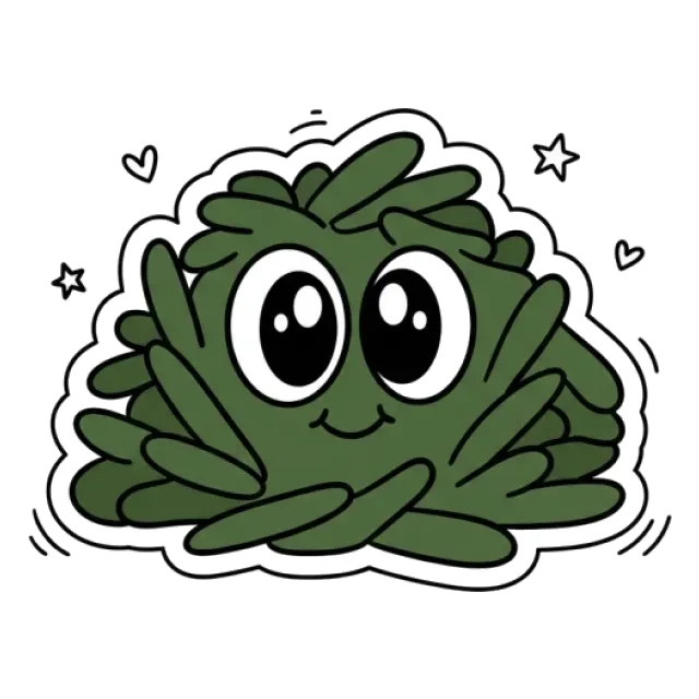 緑茶のステージ2のすがた