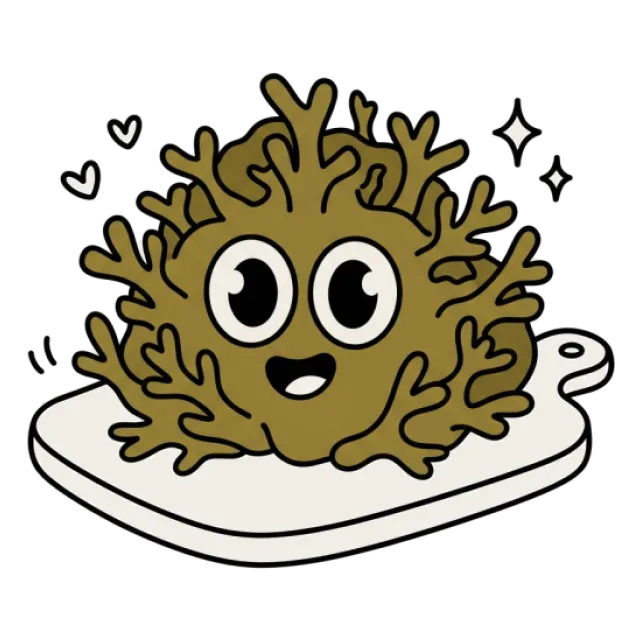 ひじきのステージ2のすがた