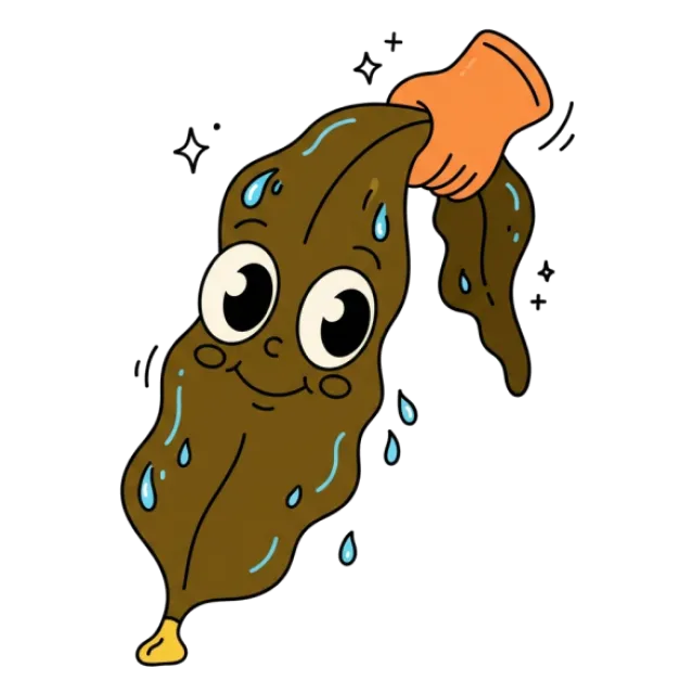 昆布のステージ3のすがた