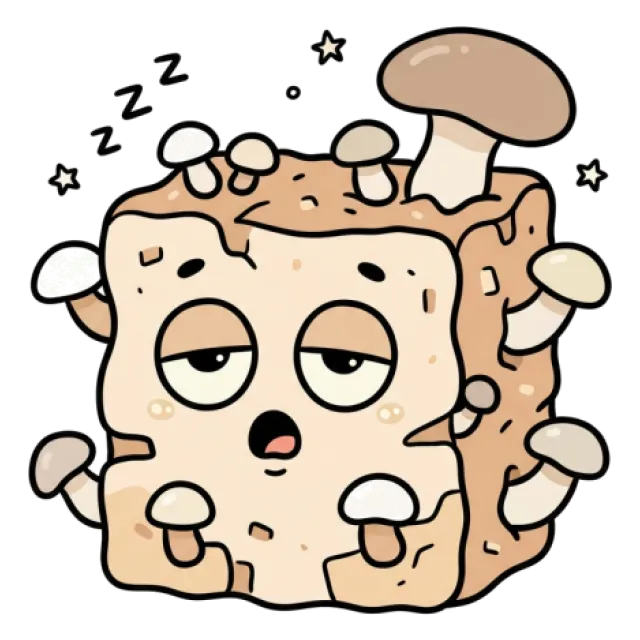 あわびたけのステージ3のすがた