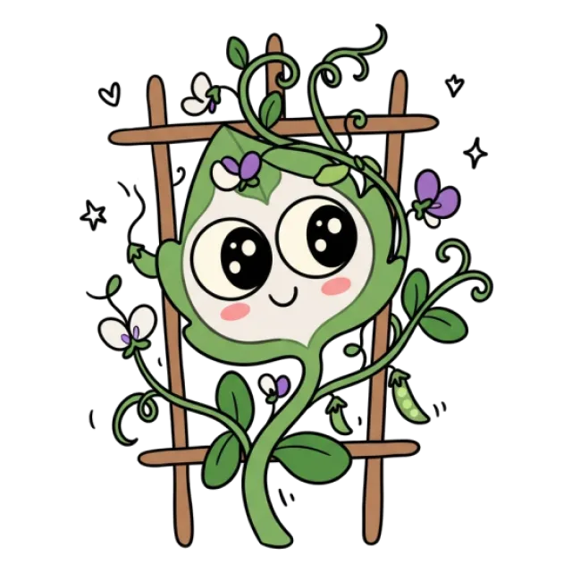 さやえんどうのステージ4のすがた
