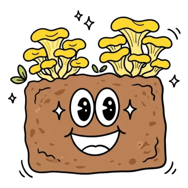 たもぎたけのステージ3のすがた