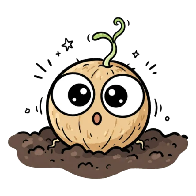 パクチーのステージ5のすがた